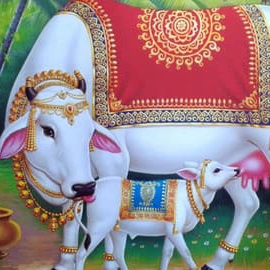 Matka Guesser profilepic