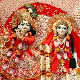 Matka Guesser profilepic