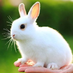 Matka Guesser profilepic