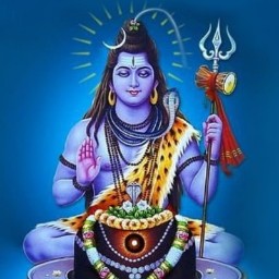 Matka Guesser profilepic